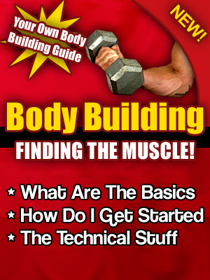body building guide beginners